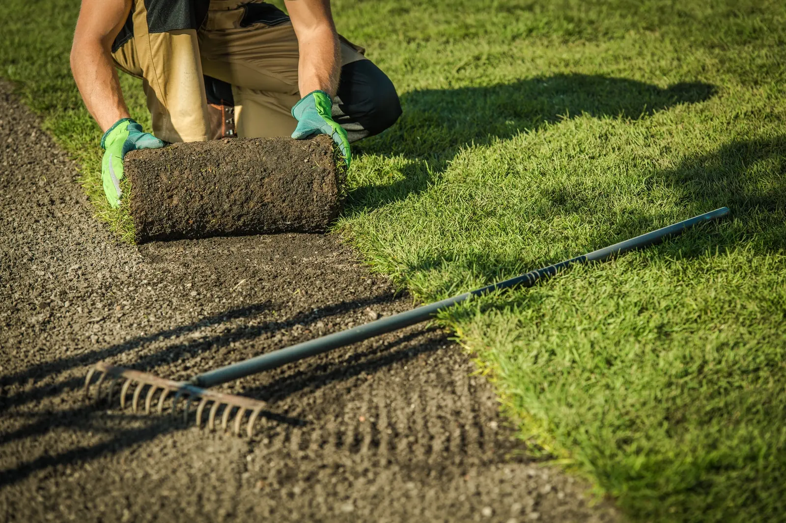 Gardener laying fresh turf